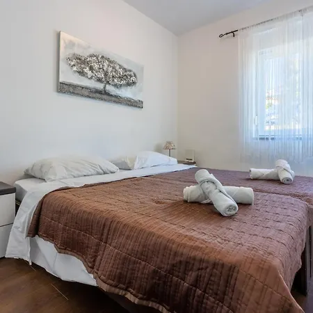 Brzica 诺维·维诺多尔斯基