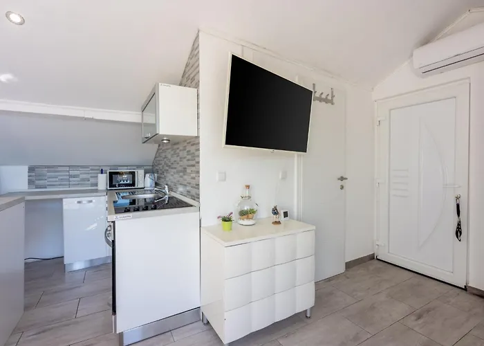 Brzica Novi Vinodolski